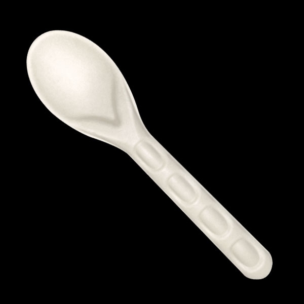 Spoon